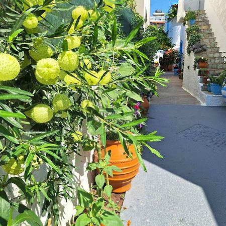 Βig Βlue Apartments Makrýgialos Eksteriør bilde