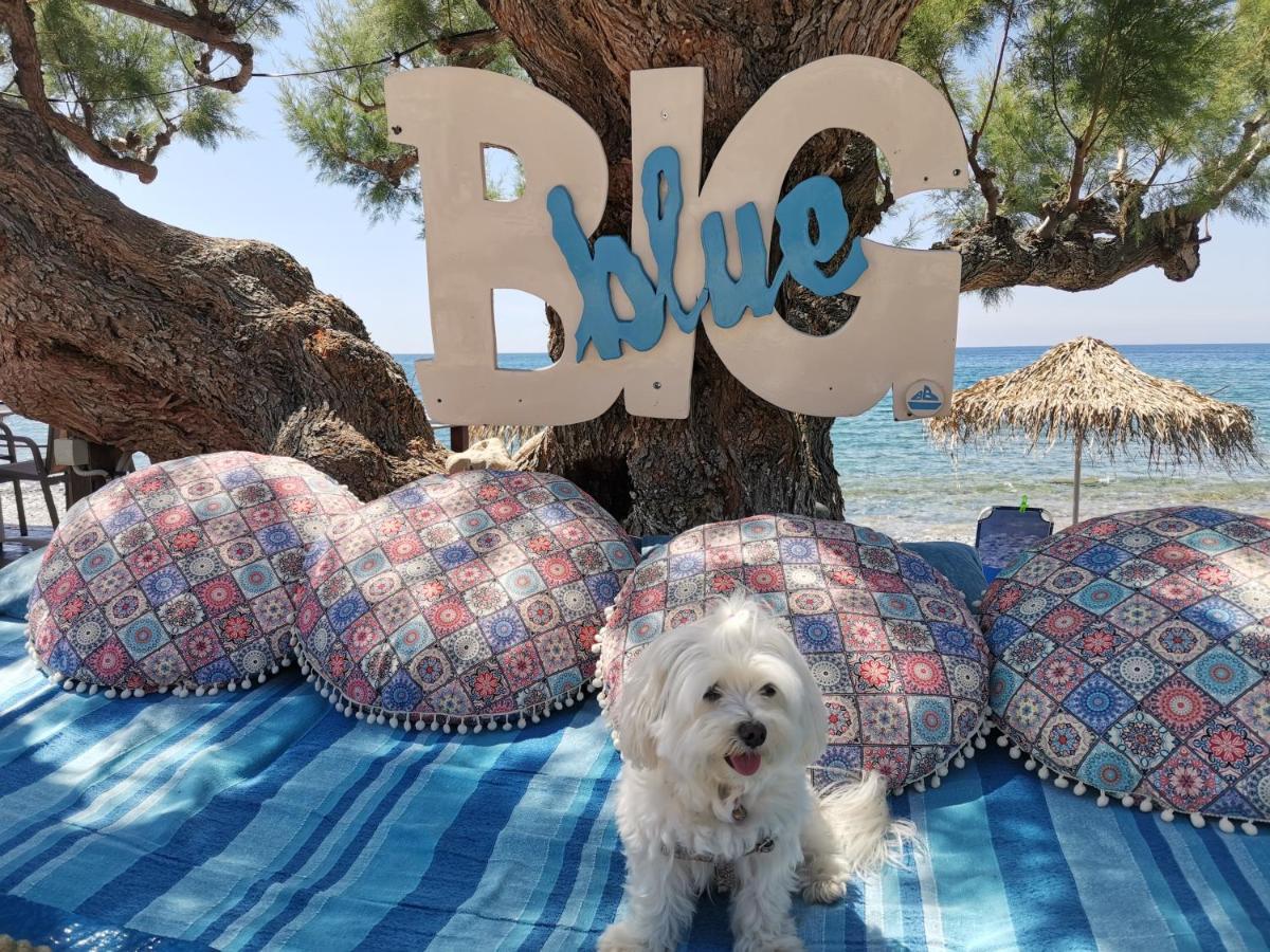 Βig Βlue Apartments Makrýgialos Eksteriør bilde