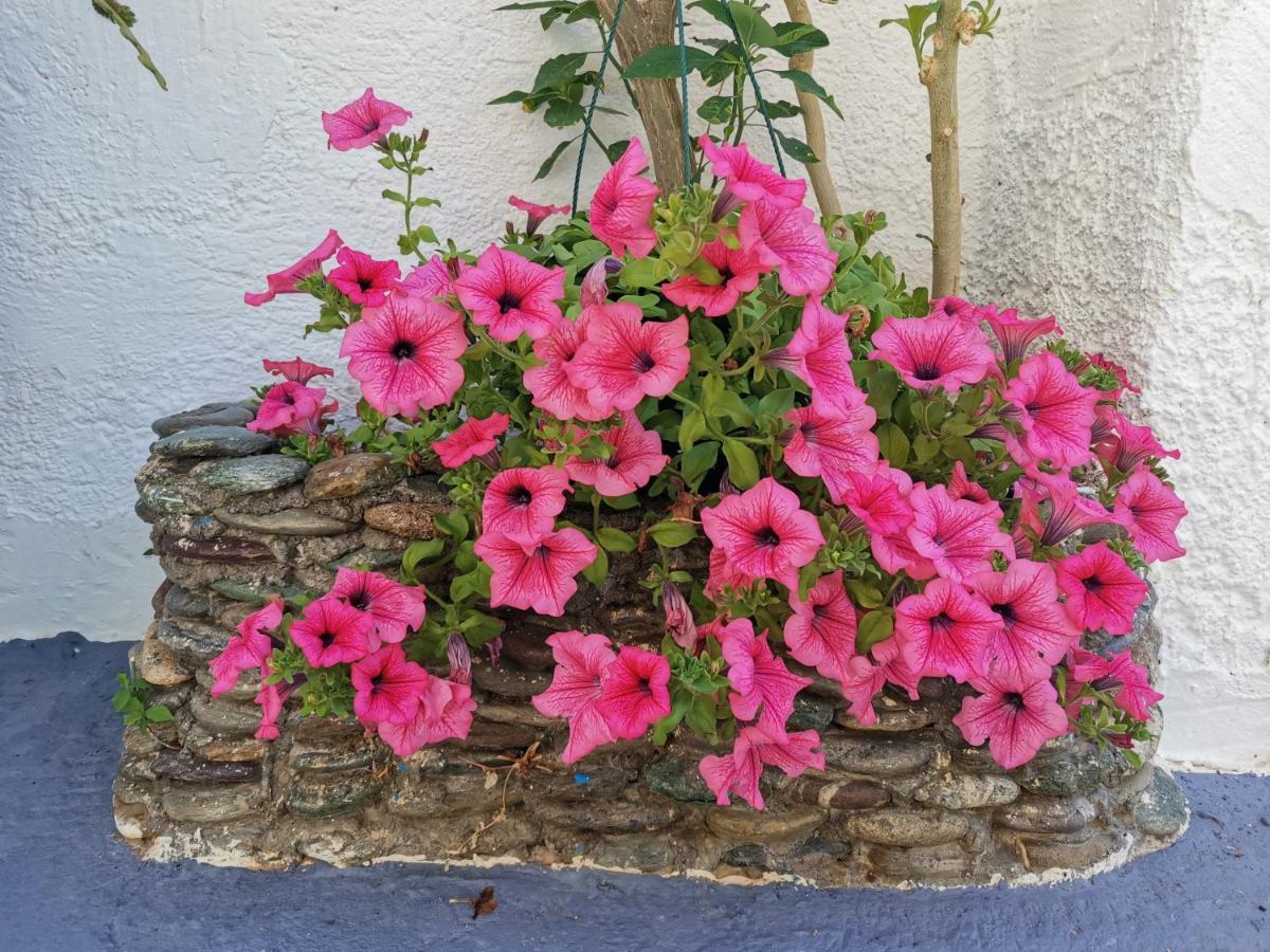 Βig Βlue Apartments Makrýgialos Eksteriør bilde
