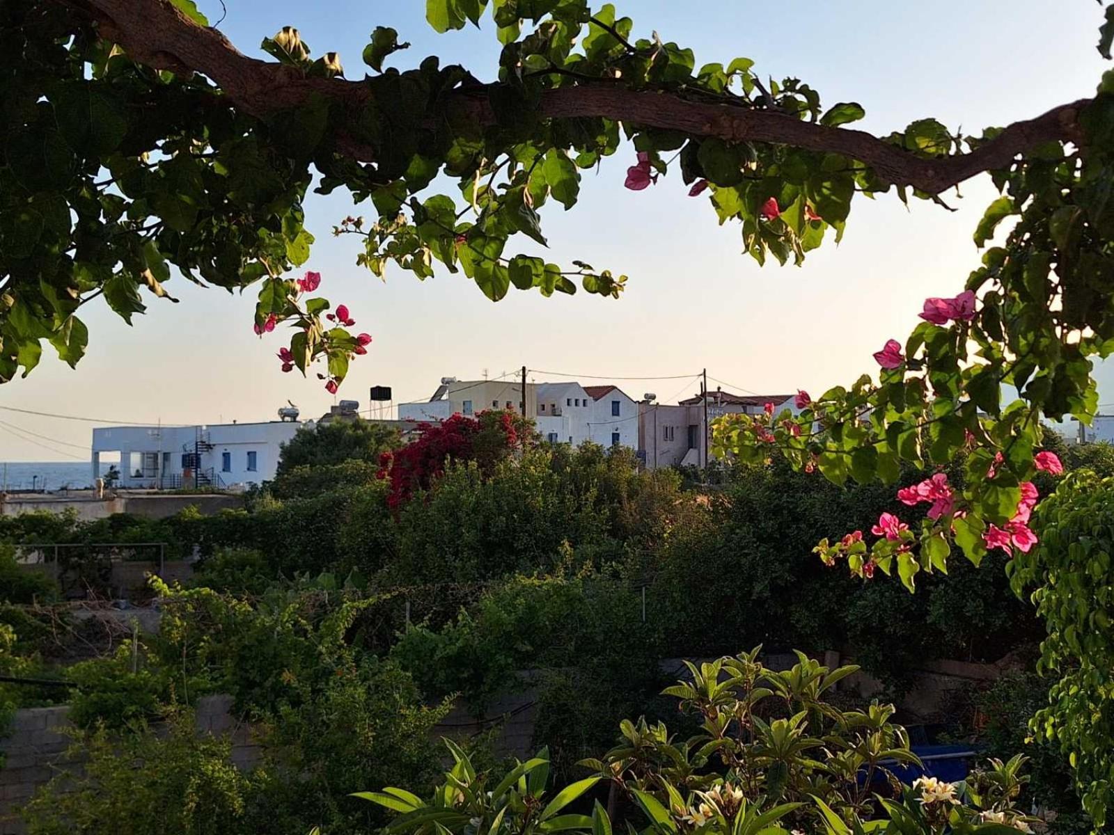 Βig Βlue Apartments Makrýgialos Eksteriør bilde