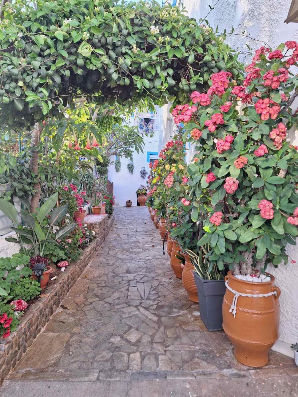 Βig Βlue Apartments Makrýgialos Eksteriør bilde
