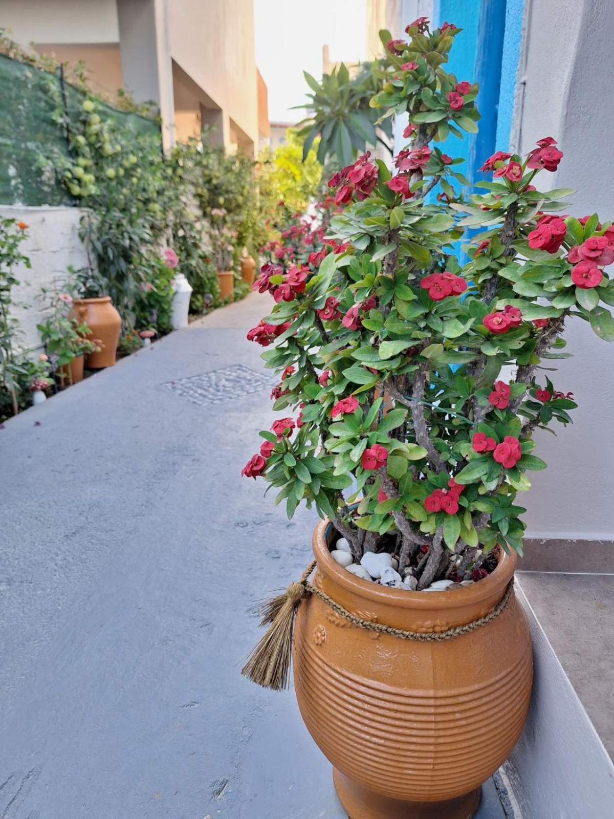 Βig Βlue Apartments Makrýgialos Eksteriør bilde