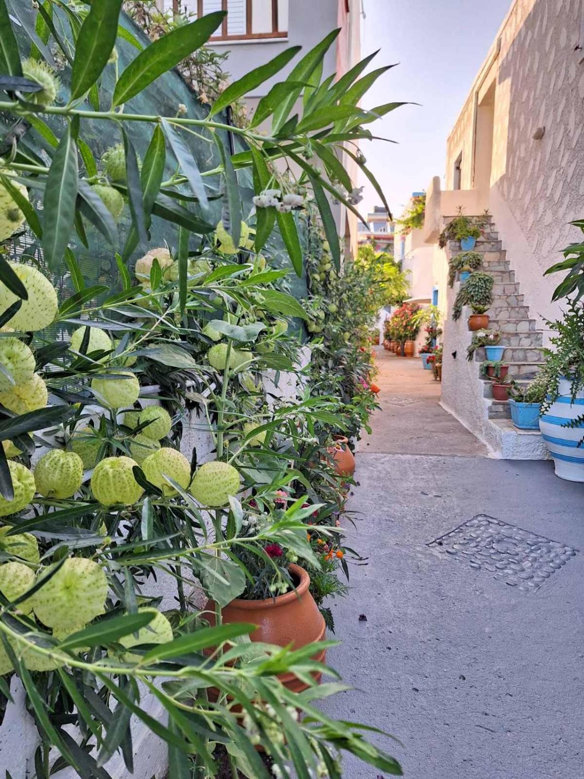 Βig Βlue Apartments Makrýgialos Eksteriør bilde