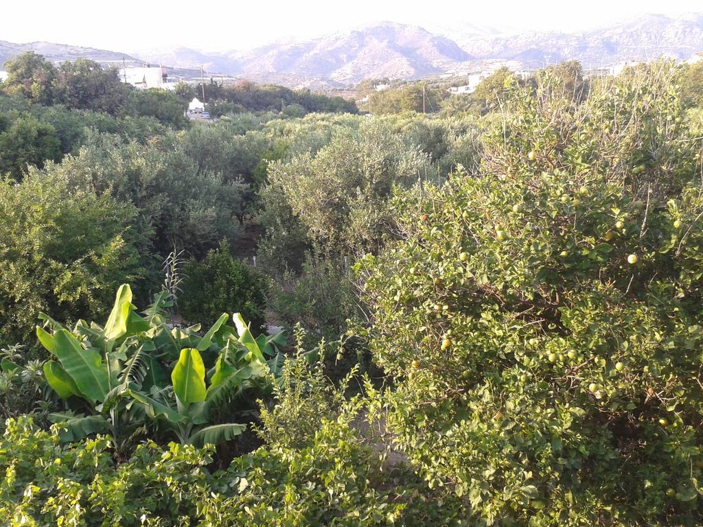 Βig Βlue Apartments Makrýgialos Rom bilde