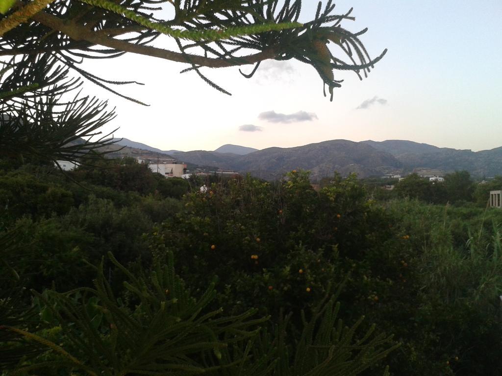 Βig Βlue Apartments Makrýgialos Rom bilde